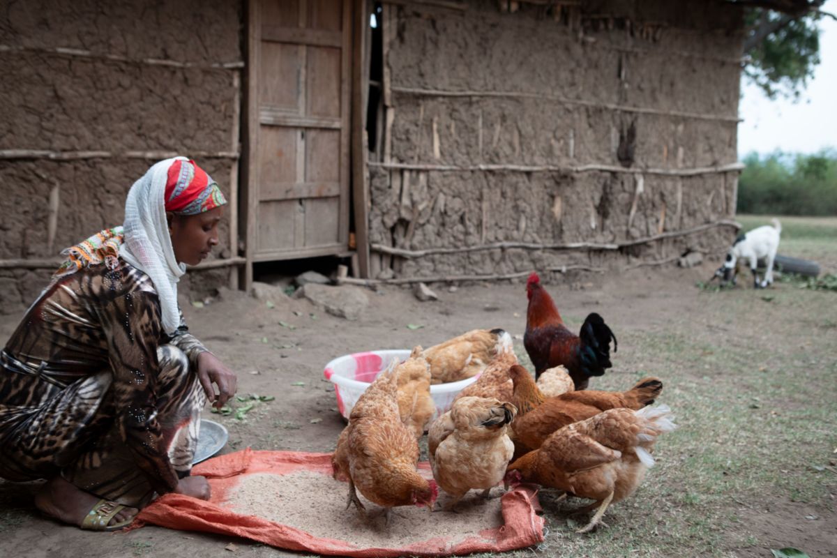 ABCD Family Strengthening Project :: Ursula Zindel-Hilti Foundation